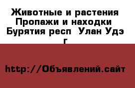 Животные и растения Пропажи и находки. Бурятия респ.,Улан-Удэ г.